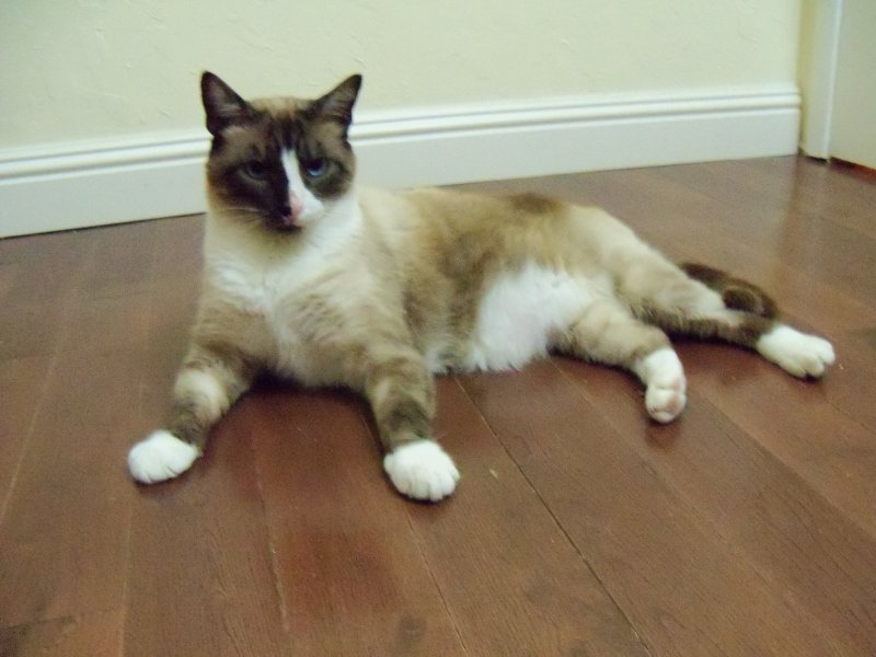2012Charles