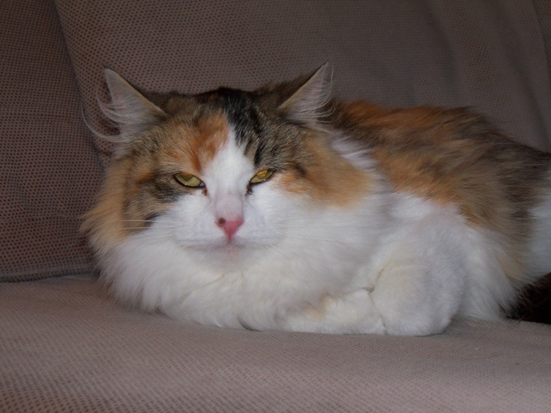 2011Natasha1