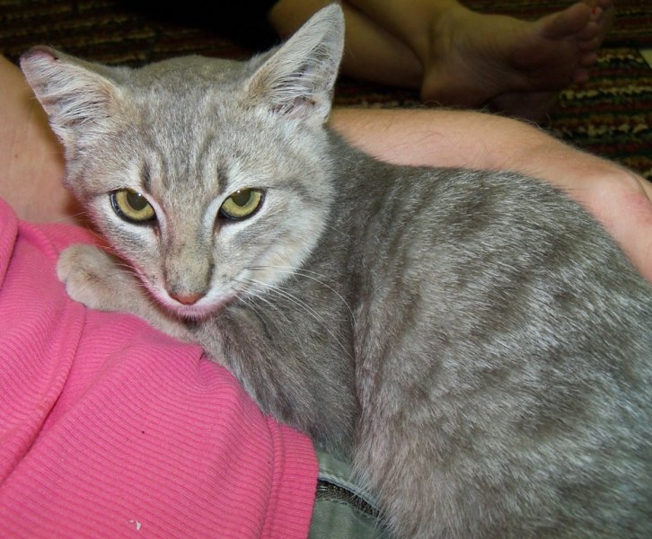 2012Ernie
