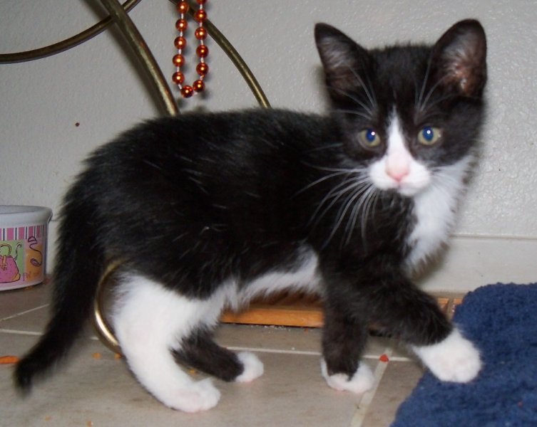 2012peanut
