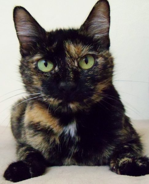 2012Winnie