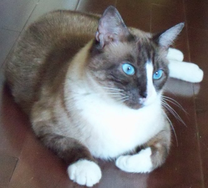 2012Charles