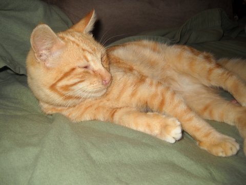 2012chowder