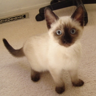 2012fiona