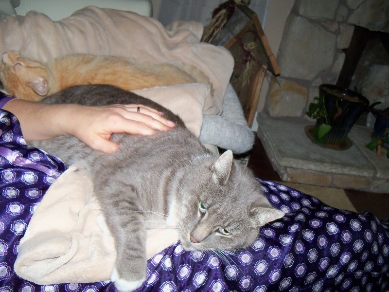 2012Thomas