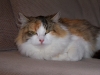 2011Natasha1
