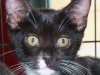 2011Patches-Marie