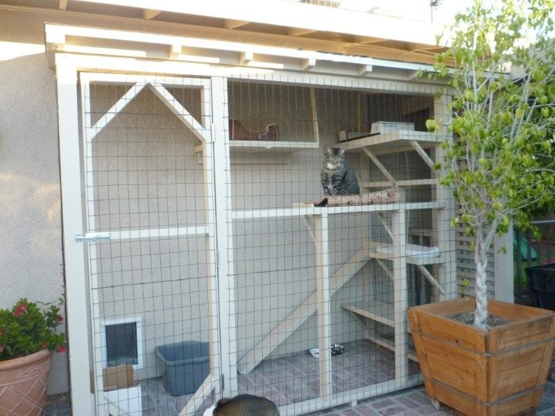 homemade cat enclosures