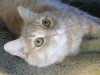 2012lucky