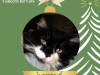 GT Ornaments - 2