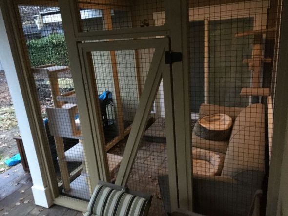 LawsonCatio_2