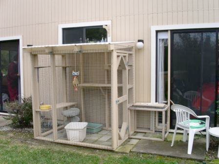 Enclosures For Cats Community Concern, Outdoor Enclosures For Cats