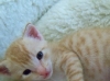 2011AJ