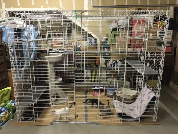 Safe, inexpensive cat enclosure