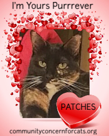 Patches 2016 (Gemma)