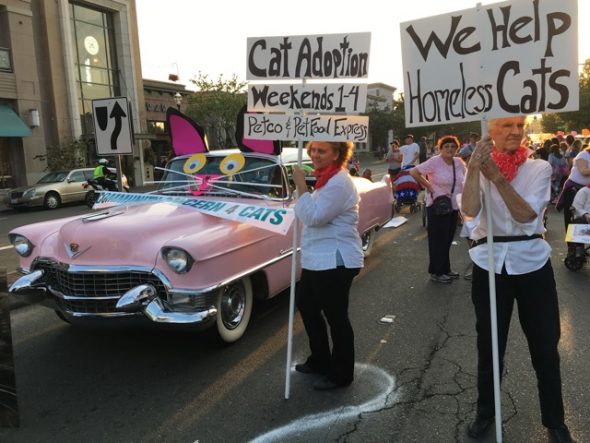 Walnut Creek Twilight Parade