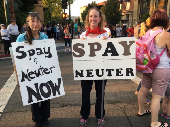 Walnut Creek Twilight Parade