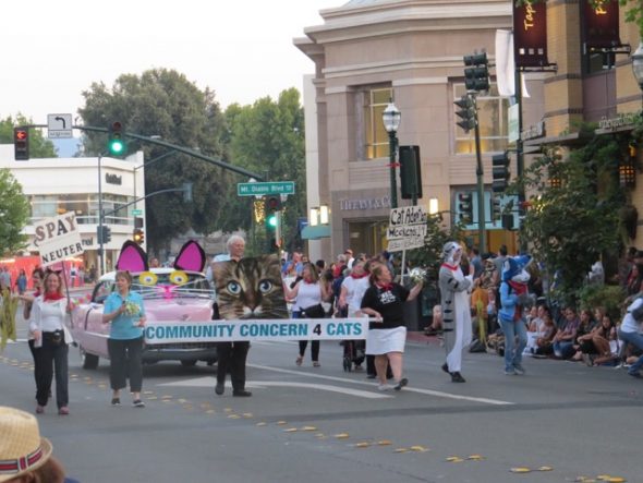 Walnut Creek Twilight Parade
