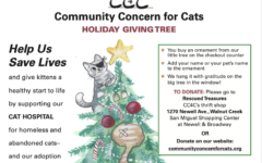 Giving Tree 2022