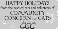 2022 Christmas Newsletter - A Cat-i-tude of Gratitude