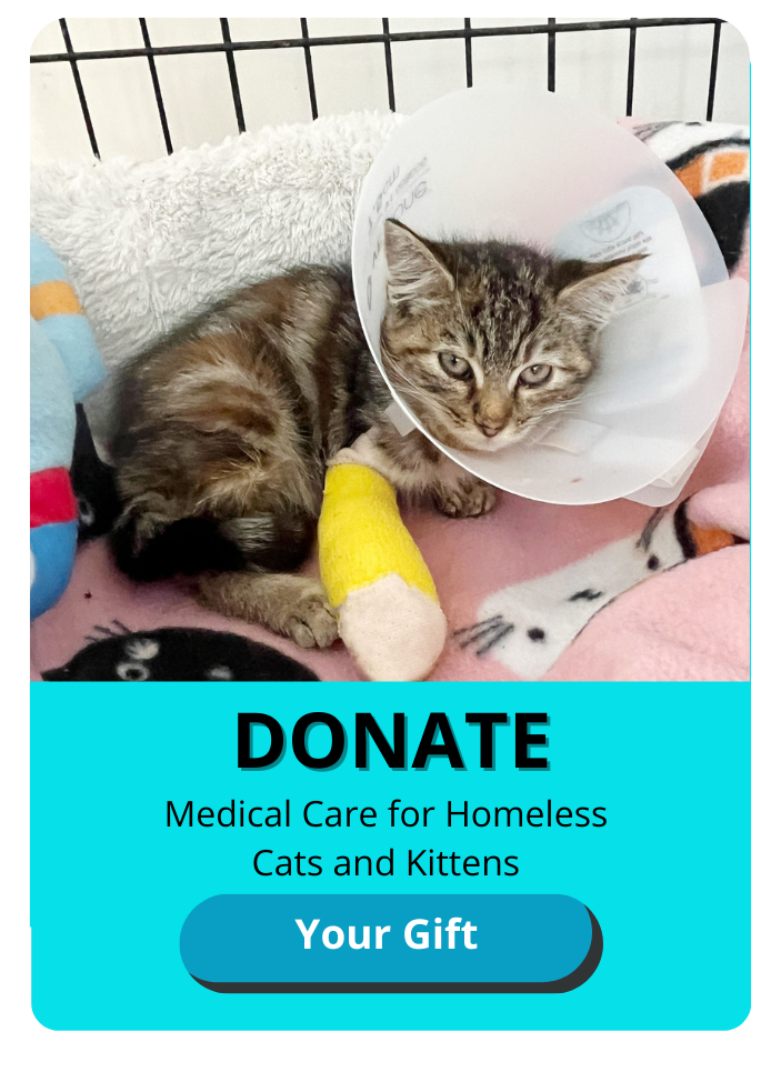 Make a Donation